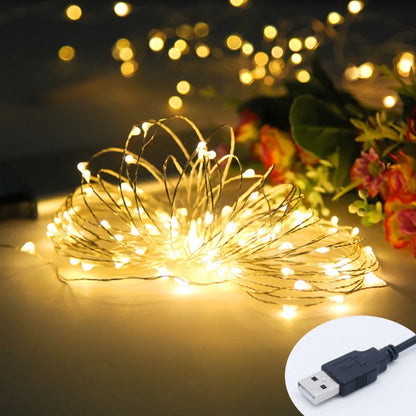 1pcs 5M 10M USB LED String lights 50/100leds Silver Wire Fairy Garland For New Year Wedding Christmas Holiday Home Decoration