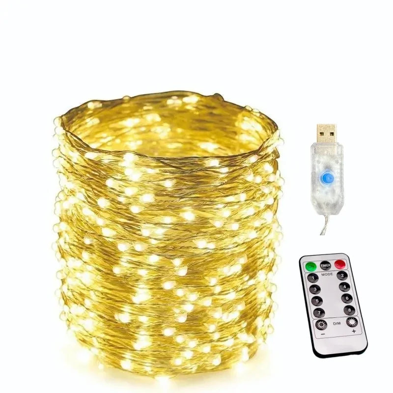 100/200LED Copper Wire String Lights USB Fairy Lights with Remote 8 Modes Lights Waterproof Christmas Decoration New Year