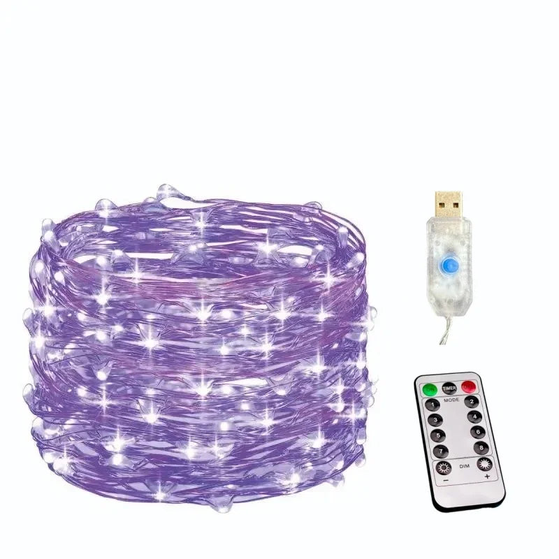 100/200LED Copper Wire String Lights USB Fairy Lights with Remote 8 Modes Lights Waterproof Christmas Decoration New Year