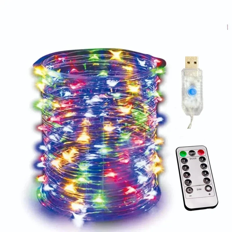 100/200LED Copper Wire String Lights USB Fairy Lights with Remote 8 Modes Lights Waterproof Christmas Decoration New Year